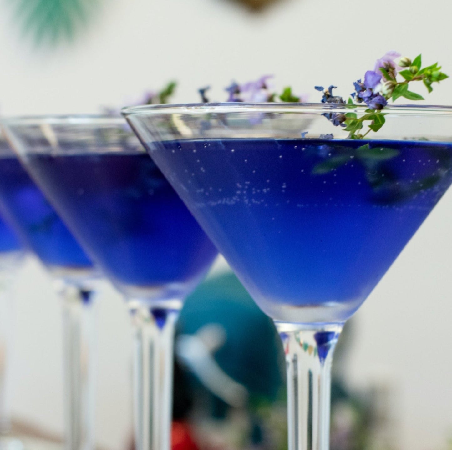 BUTTERFLY PEA FLOWER
