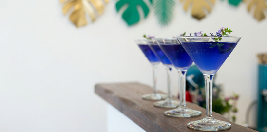 Vibrant blue botanical drinks in stemmed glasses on a wooden counter